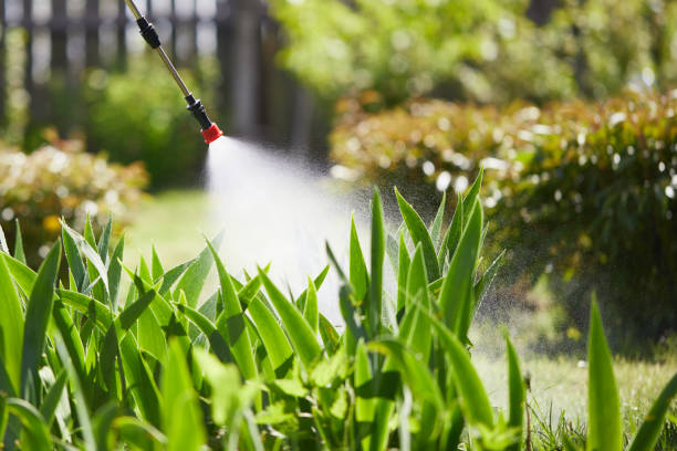 Tamper-Resistant Bait Stations for Rodents in Atoka