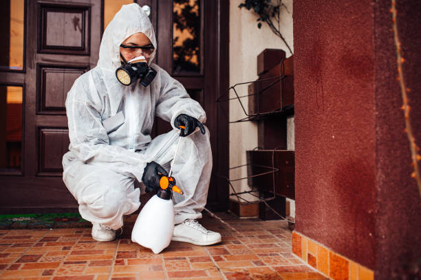 Attic and Crawl Space Rodent Treatment in Atoka